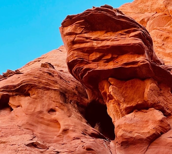 A stunning Great Horned Owl in Owl Canyon.