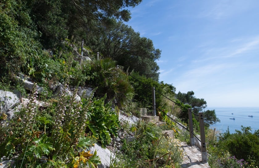 Hiking the Mediterranean Steps is a great way to explore the Rock of Gibraltar.