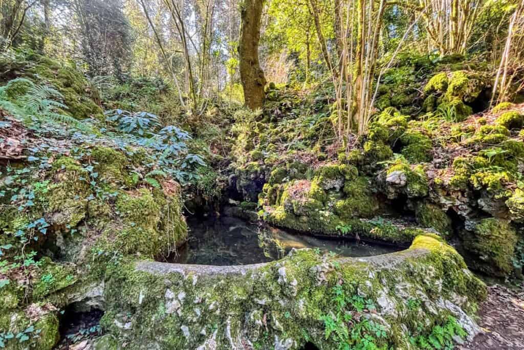 The are a lot of ponds and fountains in the Mata do Bussaco