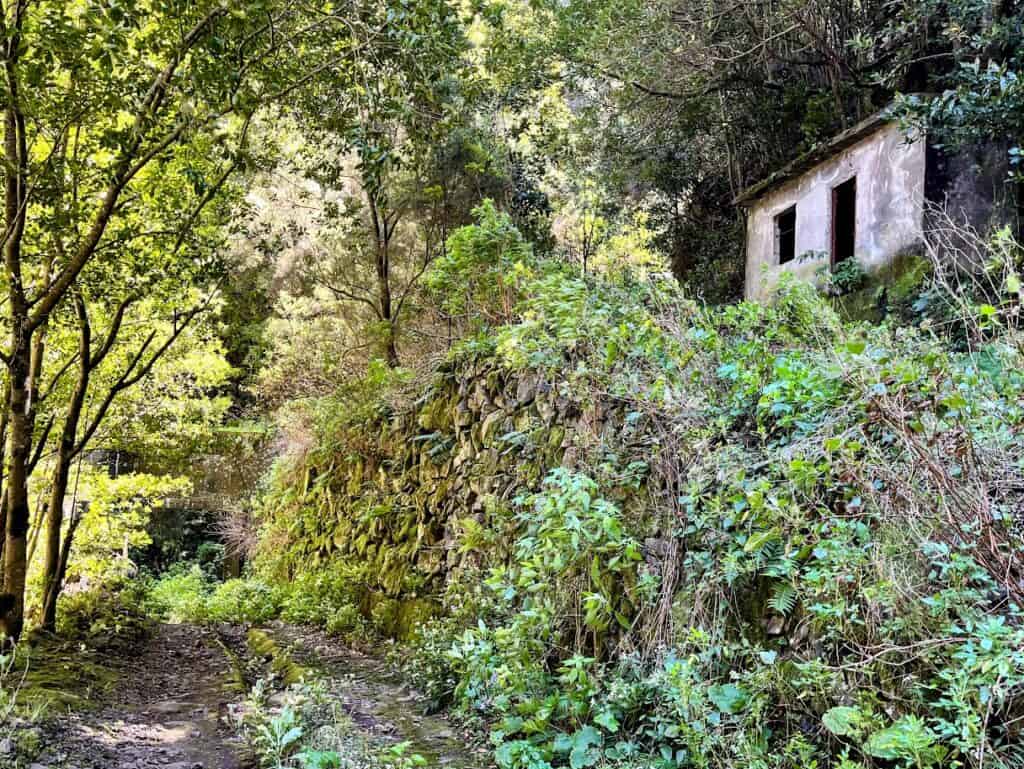 A small hut above a deserted road in La Palma surrounded by greenery
