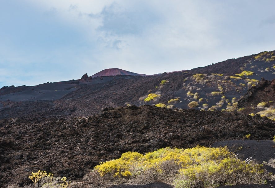A view of the rugged lava fields at Volcán San Antonio, dotted with yellow flowering plants, under a moody sky, capturing the stark beauty of the terrain that can be experienced on a Volcán San Antonio hike.