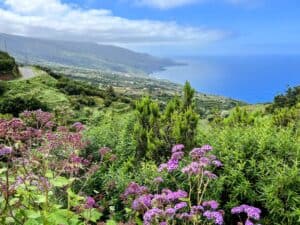 There are many miradors like this one in La Tosca that are included in our list of best things to do in La Palma