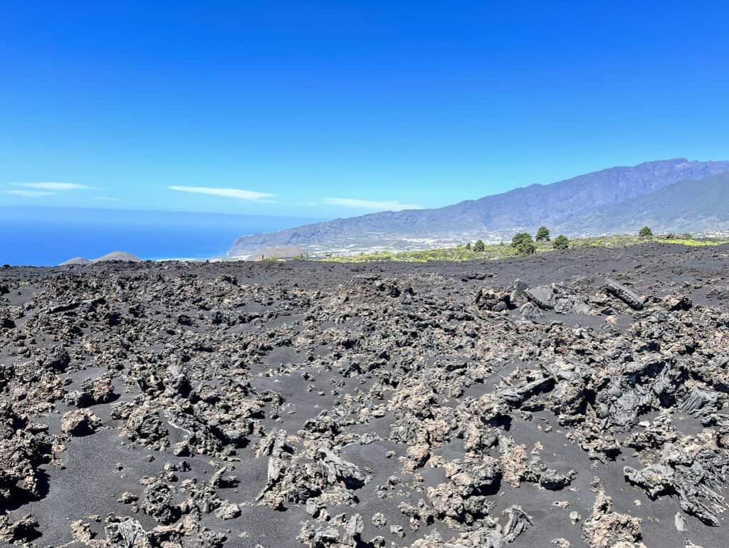 A close-up of the textured volcanic rock at Caños de Fuego, evidencing La Palma's dynamic geological history.