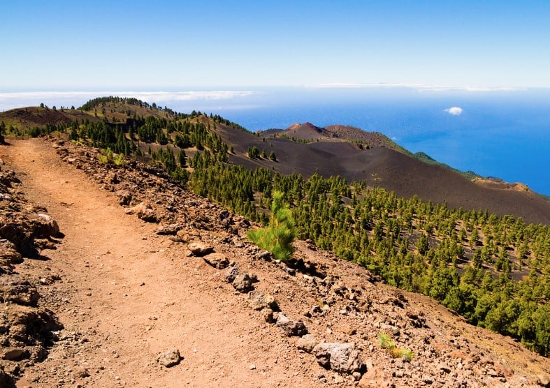 The Volcano Route in La Palma with a path cutting through pine forests and volcanic soil, leading one to ask Is La Palma worth visiting