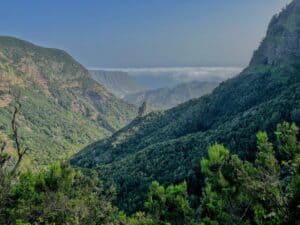 A picturesque view that is part of a La Gomera itinerary, featuring the Mirador del Rejo sticking out over green trees in the Canary Islands.