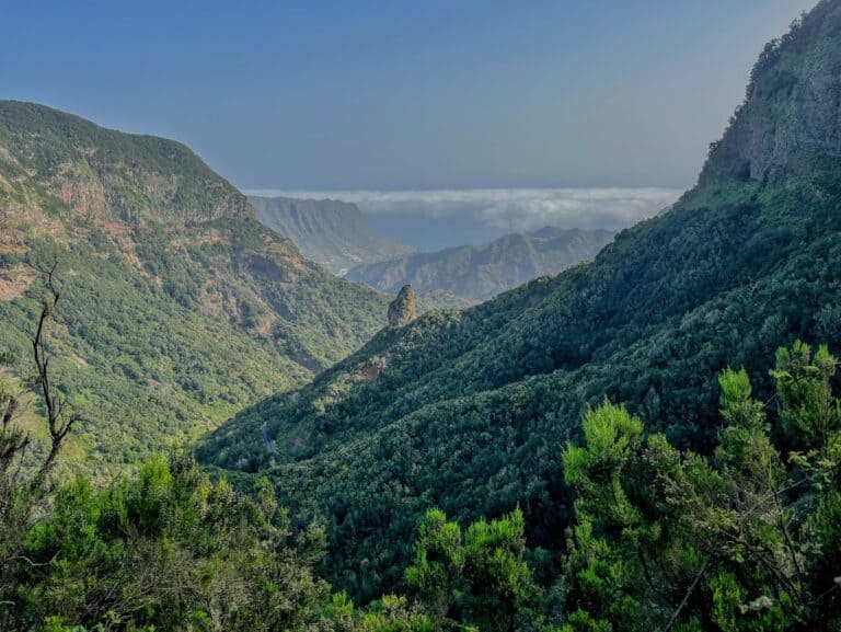 A picturesque view that is part of a La Gomera itinerary, featuring the Mirador del Rejo sticking out over green trees in the Canary Islands.