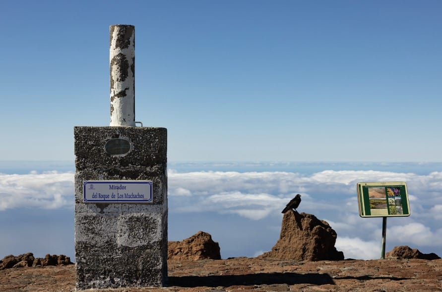 At the Mirador del Roque de Los Muchachos, visitors can gaze over a sea of clouds and look forward to a visit to the La Palma Observatory Visitor Centre.