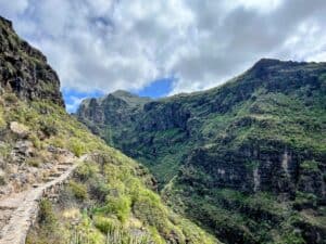 The start of a descending trail at Barranco del Infierno with a stone pathway and stairs bordered by diverse flora under a bright, cloud-speckled sky.