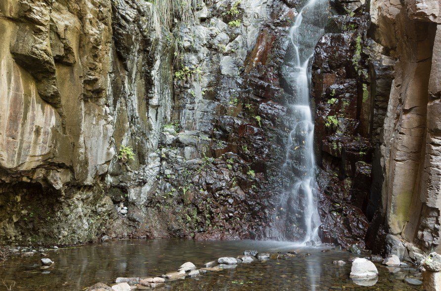 The serene Cascada de Arure, a waterfall cascading down a rocky cliff face into a tranquil pool, surrounded by verdant moss and foliage in La Gomera's forest.