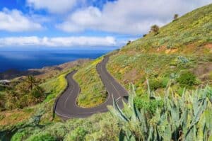 A curvy mountain road with stunning views of the sea and blue skies, lined with native flora, illustrating the joy of getting around La Gomera and discovering its vistas.