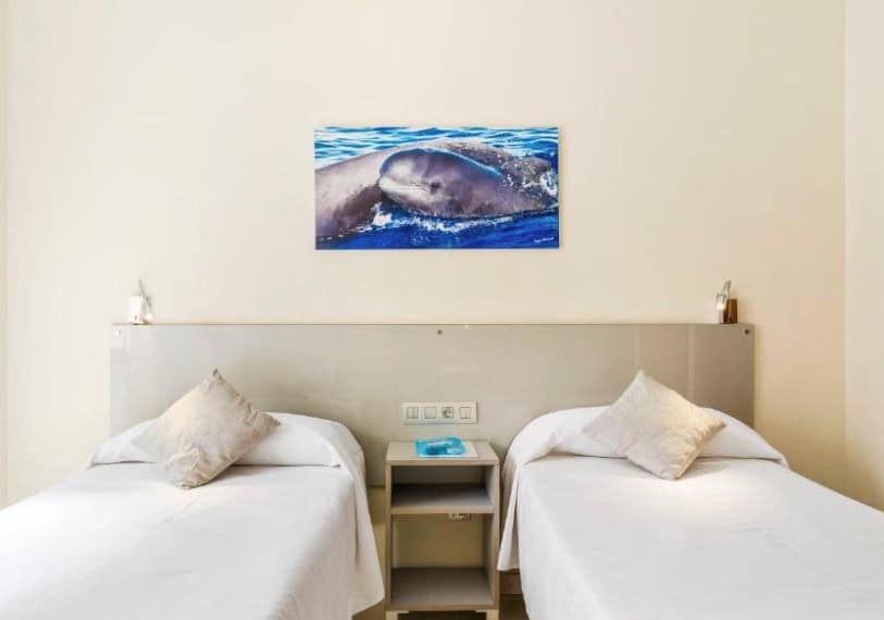 Hotel Andrea's, a great choice for cheap hotels in Los Cristianos, has simple twin bedrooms with dolphin artwork.