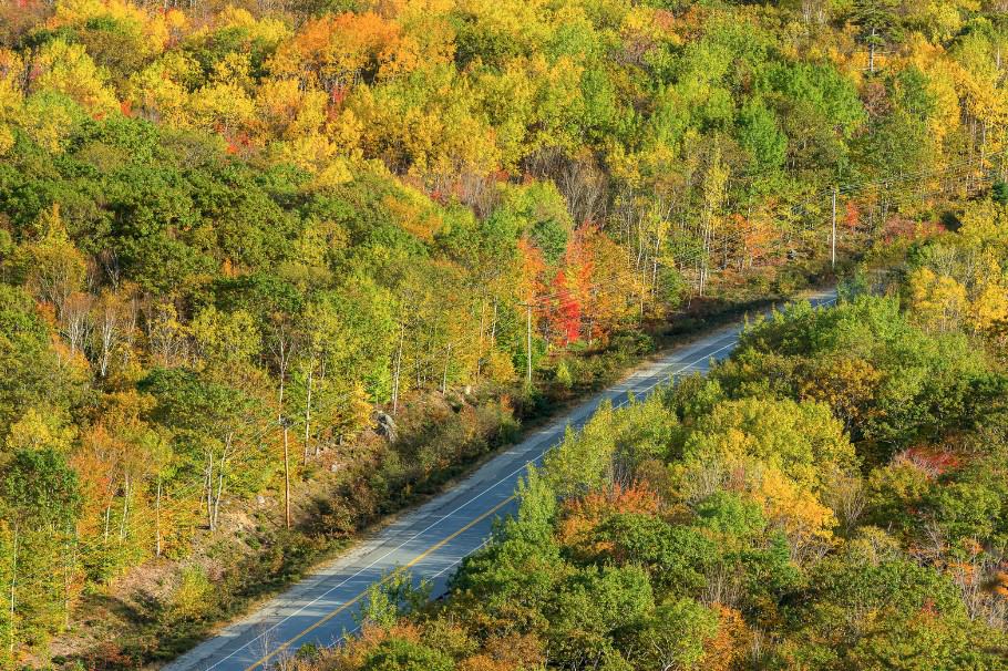 A scenic road lined with colorful autumn trees, a picturesque route between Boston and Acadia.