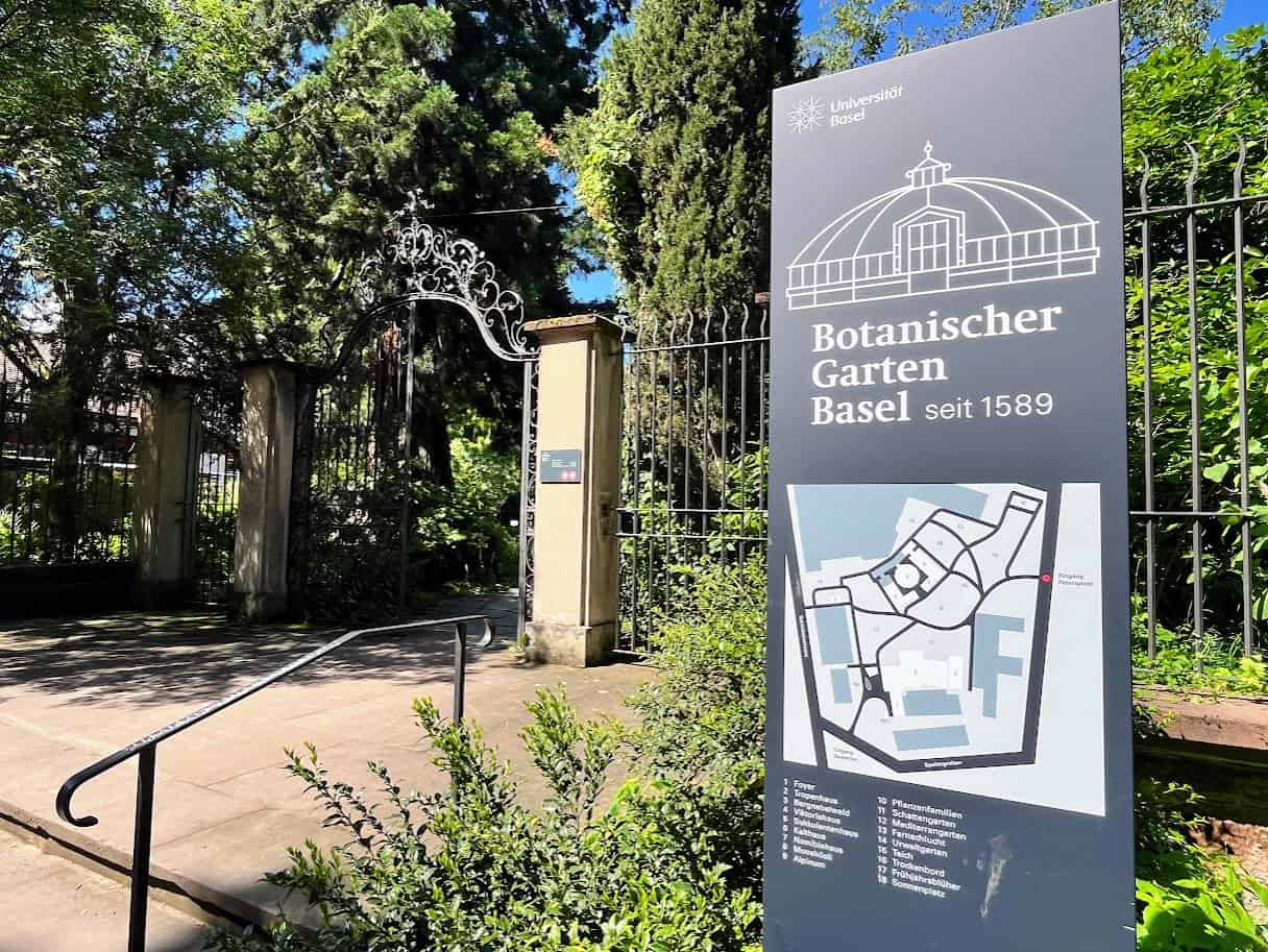 Is Basel Worth Visiting? Honest Review & GREAT 2025 Guide