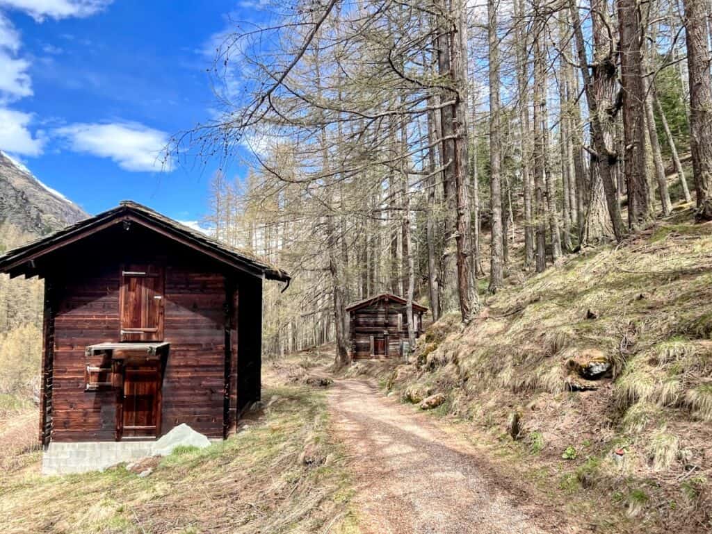 A dirt path winds past rustic wooden chalets through a quiet forest near Zermatt. Scenic walks like this are peaceful summer activities in Zermatt and great for all hiking levels.