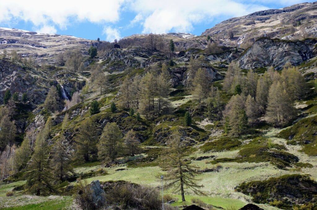 The slopes near Zermatt are dotted with mossy rocks, pine trees, and patches of sunlight. It's a quiet and peaceful part of the valley that’s easy to enjoy on foot.
